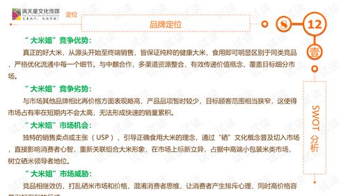 大米姐品牌營銷策劃案商業(yè)計劃書